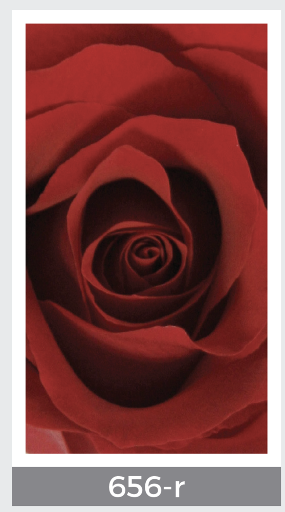 close up of red rose prayer card